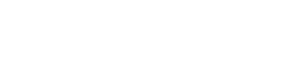 Instituto Ferreira Sbragi